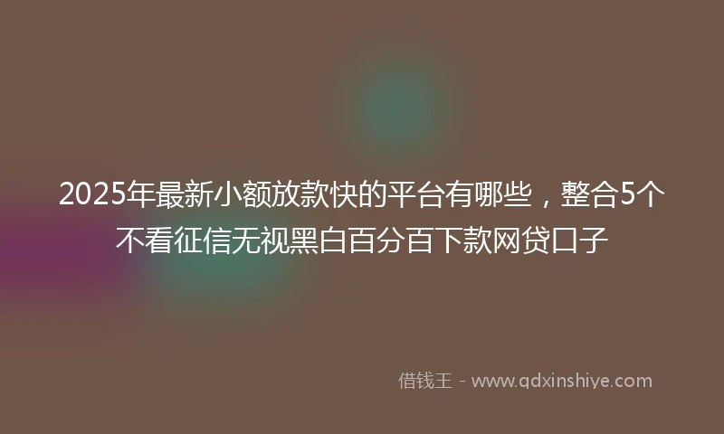 2025年最新小额放款快的平台有哪些，整合5个不看征信无视黑白百分百下款网贷口子