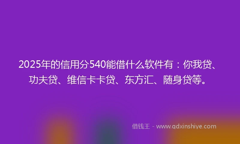 2025年的信用分540能借什么软件有：你我贷、功夫贷、维信卡卡贷、东方汇、随身贷等。