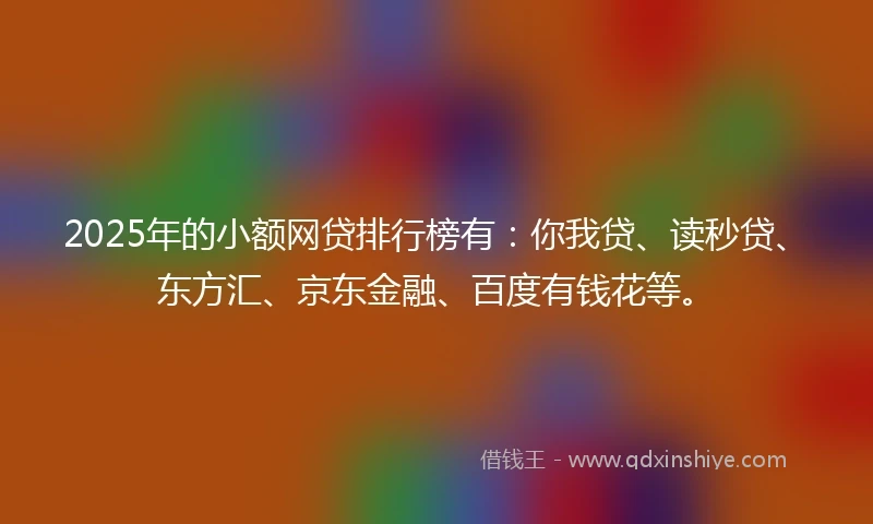 2025年的小额网贷排行榜有：你我贷、读秒贷、东方汇、京东金融、百度有钱花等。