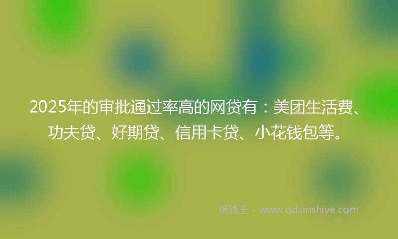 2025年的审批通过率高的网贷有：美团生活费、功夫贷、好期贷、信用卡贷、小花钱包等。