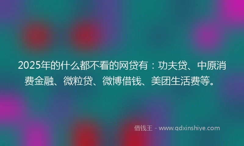 2025年的什么都不看的网贷有：功夫贷、中原消费金融、微粒贷、微博借钱、美团生活费等。