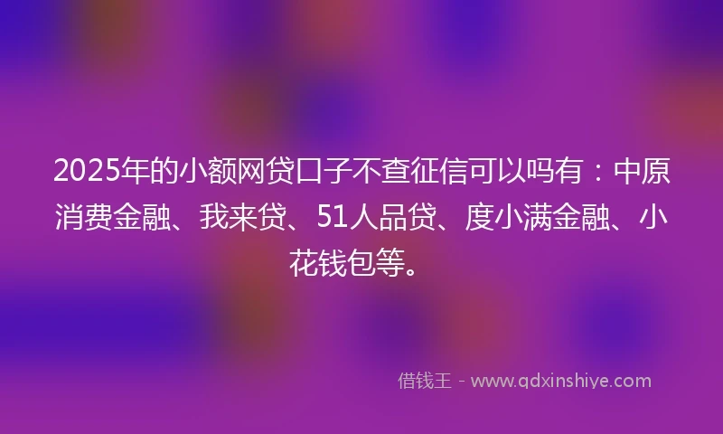 2025年的小额网贷口子不查征信可以吗有：中原消费金融、我来贷、51人品贷、度小满金融、小花钱包等。