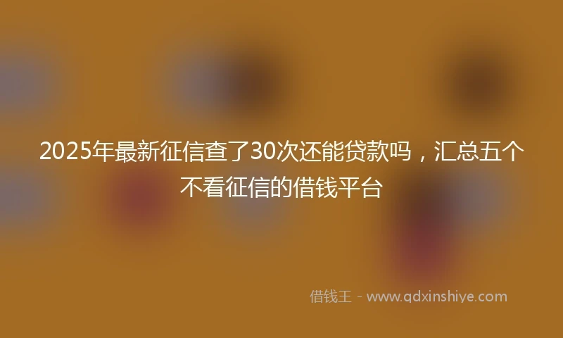 2025年最新征信查了30次还能贷款吗，汇总五个不看征信的借钱平台