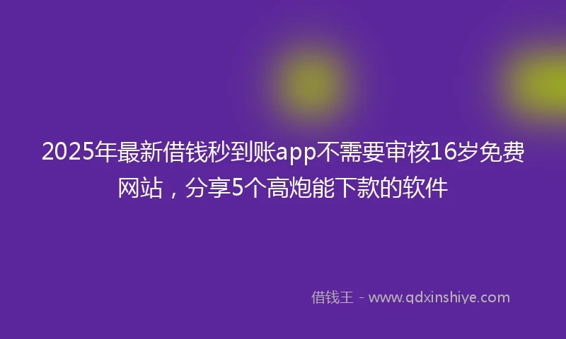 2025年最新借钱秒到账app不需要审核16岁免费网站，分享5个高炮能下款的软件