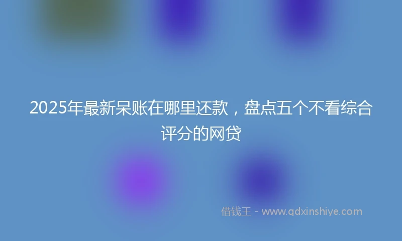 2025年最新呆账在哪里还款，盘点五个不看综合评分的网贷