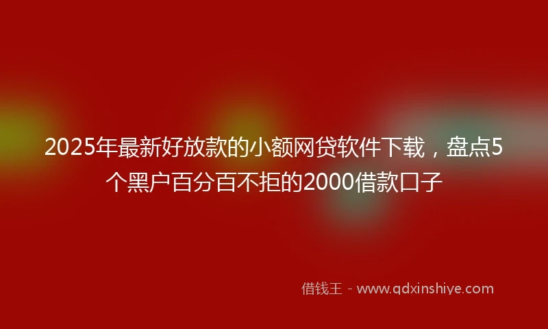 2025年最新好放款的小额网贷软件下载，盘点5个黑户百分百不拒的2000借款口子