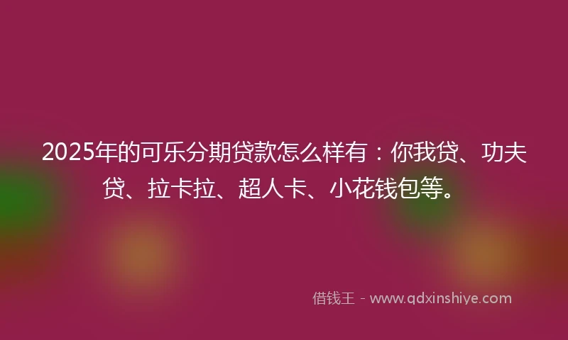 2025年的可乐分期贷款怎么样有：你我贷、功夫贷、拉卡拉、超人卡、小花钱包等。