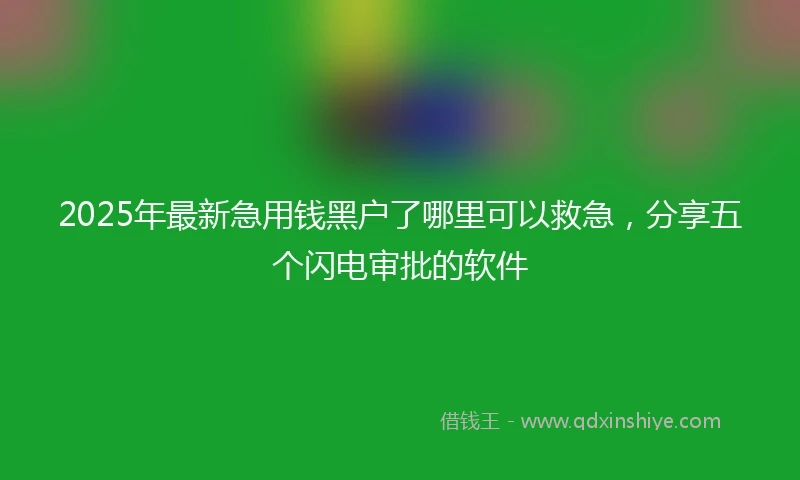 2025年最新急用钱黑户了哪里可以救急，分享五个闪电审批的软件