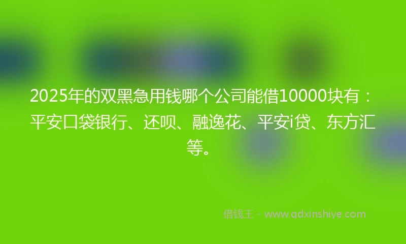 2025年的双黑急用钱哪个公司能借10000块有：平安口袋银行、还呗、融逸花、平安i贷、东方汇等。