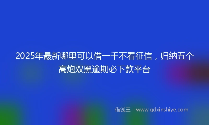 2025年最新哪里可以借一千不看征信，归纳五个高炮双黑逾期必下款平台