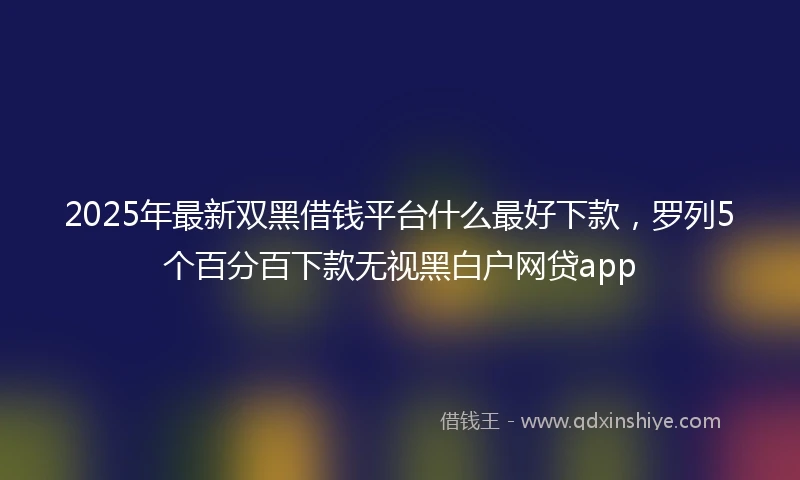 2025年最新双黑借钱平台什么最好下款，罗列5个百分百下款无视黑白户网贷app