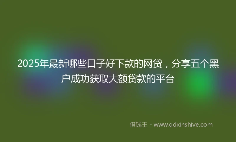 2025年最新哪些口子好下款的网贷，分享五个黑户成功获取大额贷款的平台