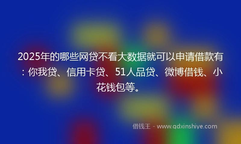 2025年的哪些网贷不看大数据就可以申请借款有：你我贷、信用卡贷、51人品贷、微博借钱、小花钱包等。