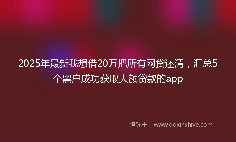 2025年最新我想借20万把所有网贷还清，汇总5个黑户成功获取大额贷款的app