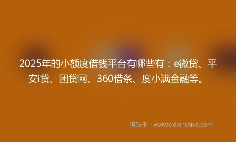2025年的小额度借钱平台有哪些有：e微贷、平安i贷、团贷网、360借条、度小满金融等。