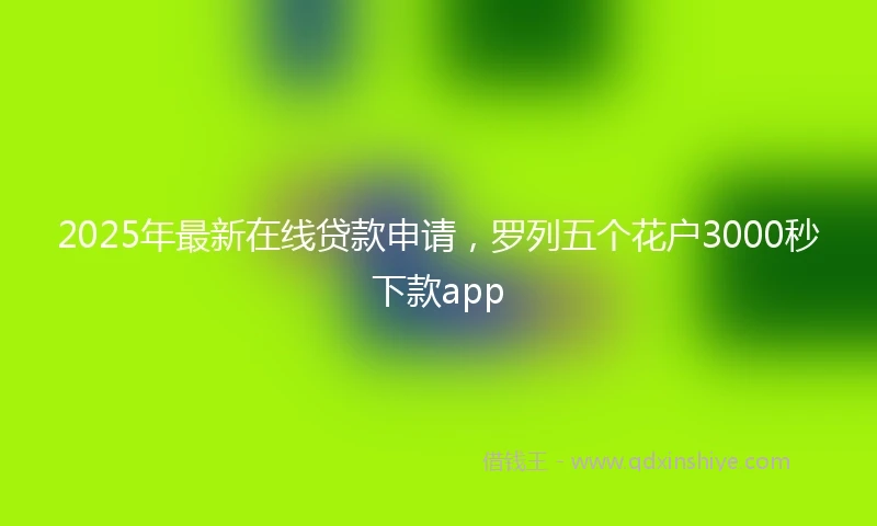 2025年最新在线贷款申请，罗列五个花户3000秒下款app