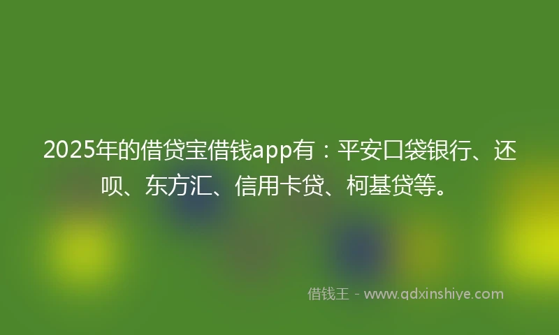 2025年的借贷宝借钱app有：平安口袋银行、还呗、东方汇、信用卡贷、柯基贷等。