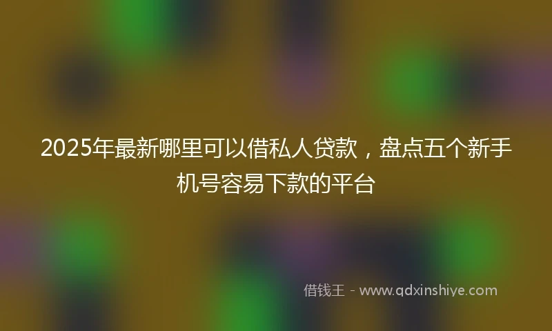 2025年最新哪里可以借私人贷款，盘点五个新手机号容易下款的平台