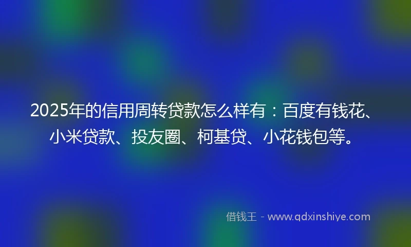 2025年的信用周转贷款怎么样有：百度有钱花、小米贷款、投友圈、柯基贷、小花钱包等。