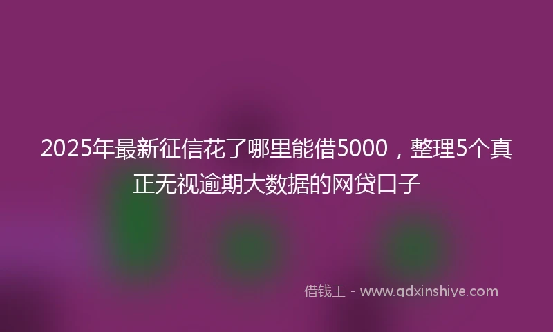2025年最新征信花了哪里能借5000，整理5个真正无视逾期大数据的网贷口子
