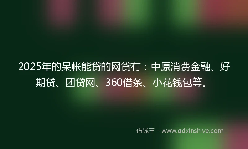 2025年的呆帐能贷的网贷有：中原消费金融、好期贷、团贷网、360借条、小花钱包等。