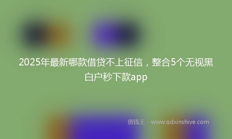2025年最新哪款借贷不上征信，整合5个无视黑白户秒下款app
