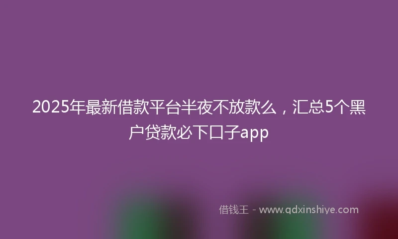 2025年最新借款平台半夜不放款么，汇总5个黑户贷款必下口子app
