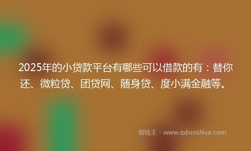 2025年的小贷款平台有哪些可以借款的有：替你还、微粒贷、团贷网、随身贷、度小满金融等。