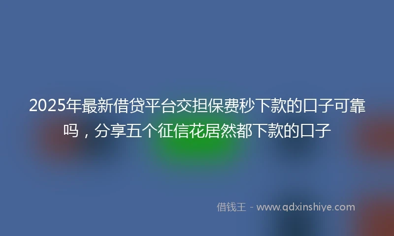 2025年最新借贷平台交担保费秒下款的口子可靠吗，分享五个征信花居然都下款的口子