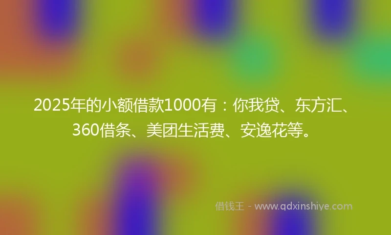 2025年的小额借款1000有：你我贷、东方汇、360借条、美团生活费、安逸花等。