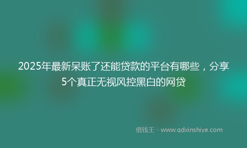 2025年最新呆账了还能贷款的平台有哪些，分享5个真正无视风控黑白的网贷