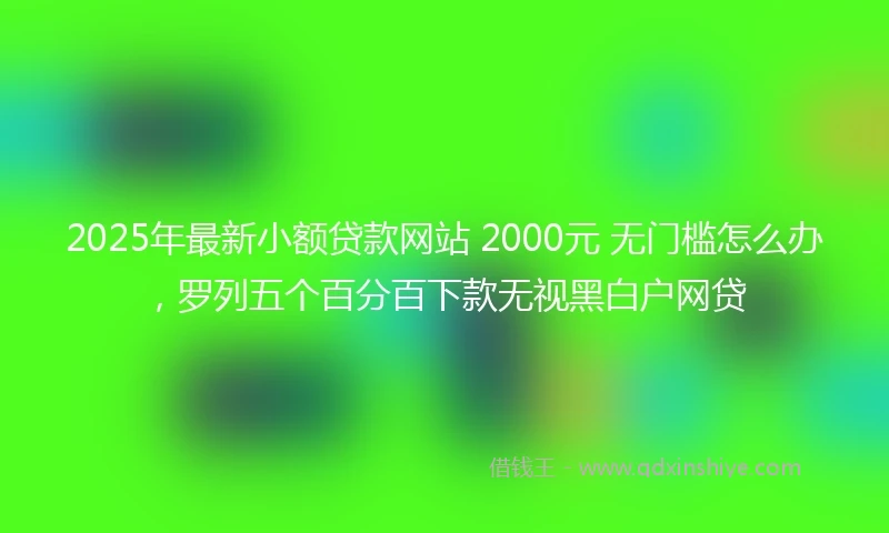 2025年最新小额贷款网站 2000元 无门槛怎么办，罗列五个百分百下款无视黑白户网贷