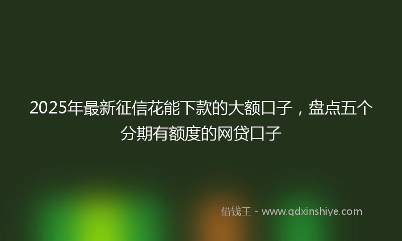 2025年最新征信花能下款的大额口子，盘点五个分期有额度的网贷口子