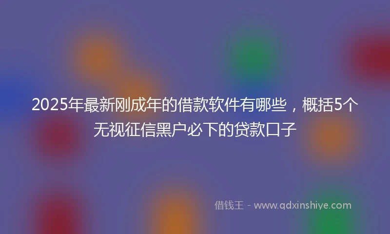 2025年最新刚成年的借款软件有哪些，概括5个无视征信黑户必下的贷款口子