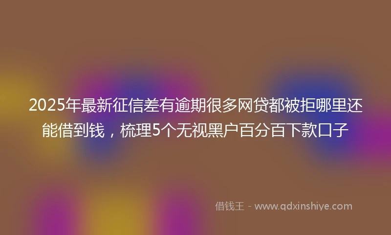 2025年最新征信差有逾期很多网贷都被拒哪里还能借到钱，梳理5个无视黑户百分百下款口子