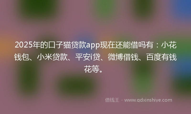 2025年的口子猫贷款app现在还能借吗有：小花钱包、小米贷款、平安i贷、微博借钱、百度有钱花等。