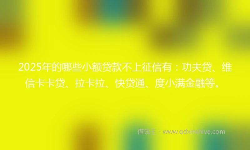 2025年的哪些小额贷款不上征信有：功夫贷、维信卡卡贷、拉卡拉、快贷通、度小满金融等。