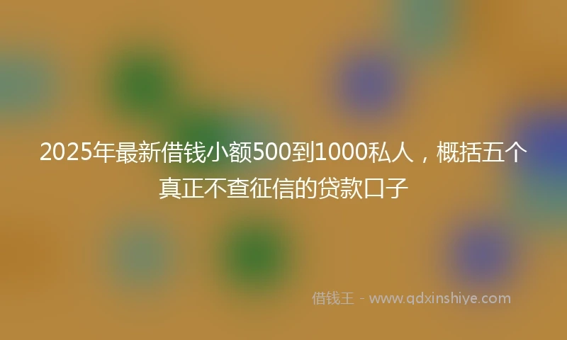 2025年最新借钱小额500到1000私人，概括五个真正不查征信的贷款口子