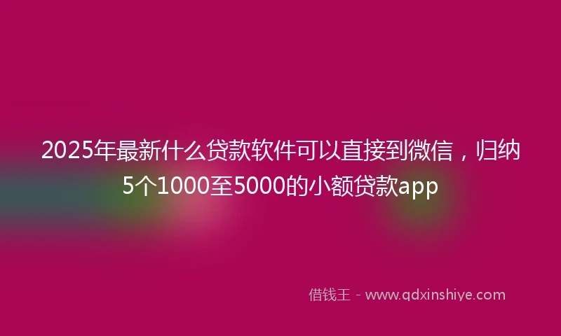 2025年最新什么贷款软件可以直接到微信，归纳5个1000至5000的小额贷款app