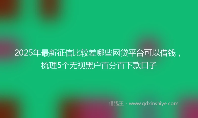 2025年最新征信比较差哪些网贷平台可以借钱，梳理5个无视黑户百分百下款口子