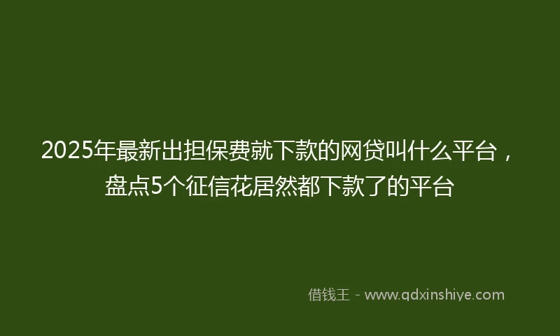 2025年最新出担保费就下款的网贷叫什么平台，盘点5个征信花居然都下款了的平台
