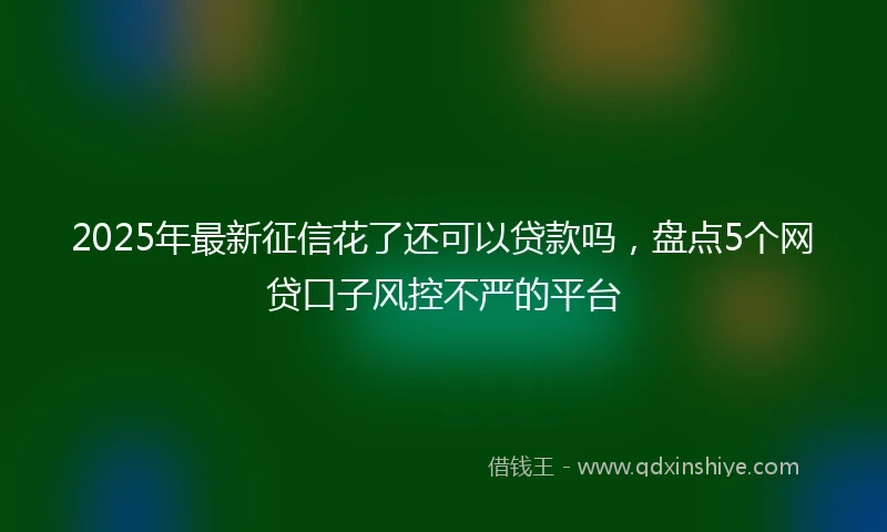 2025年最新征信花了还可以贷款吗，盘点5个网贷口子风控不严的平台