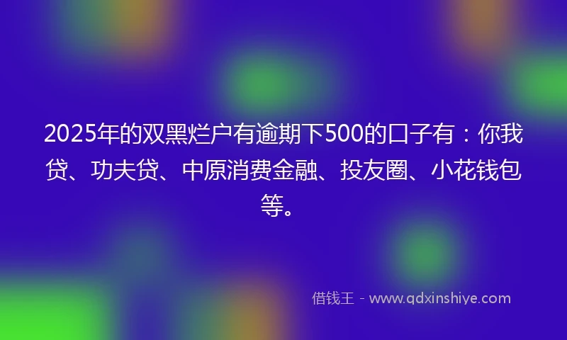2025年的双黑烂户有逾期下500的口子有：你我贷、功夫贷、中原消费金融、投友圈、小花钱包等。