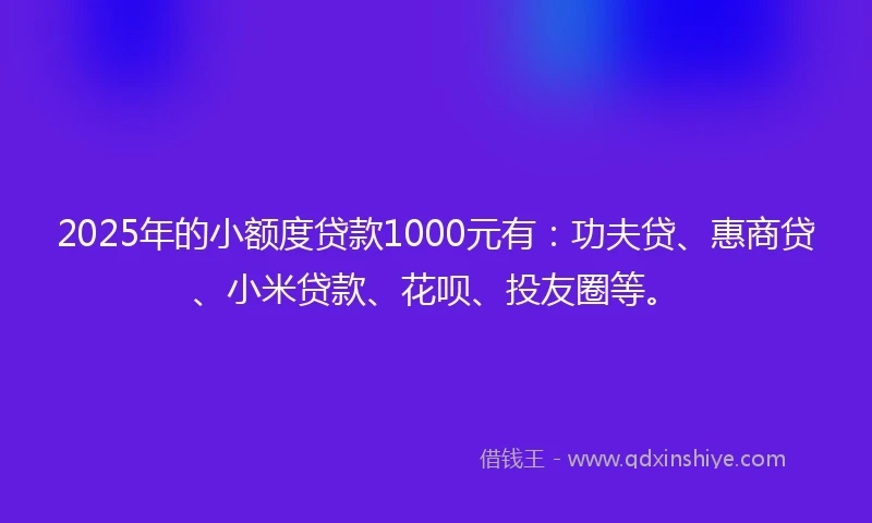 2025年的小额度贷款1000元有：功夫贷、惠商贷、小米贷款、花呗、投友圈等。