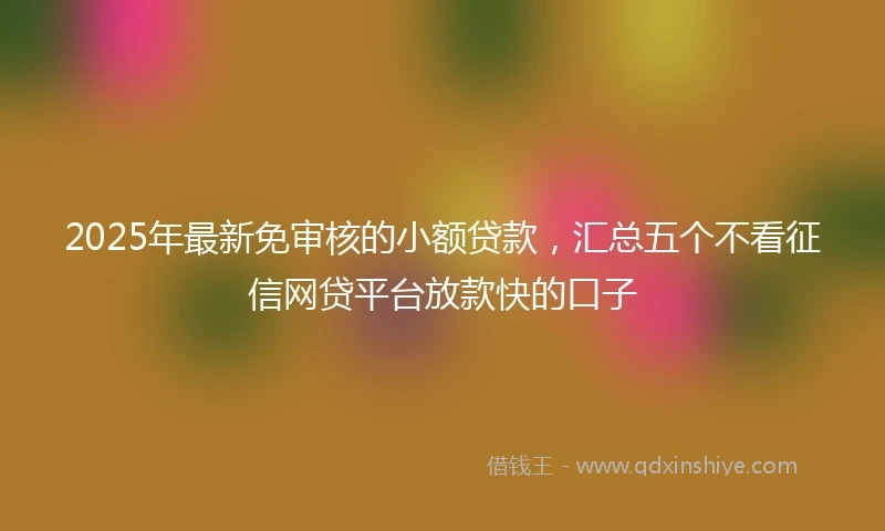 2025年最新免审核的小额贷款，汇总五个不看征信网贷平台放款快的口子