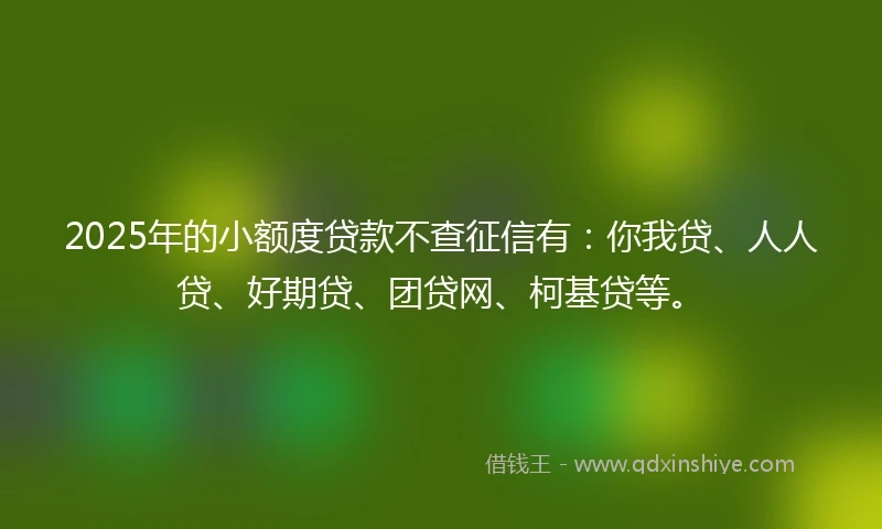 2025年的小额度贷款不查征信有：你我贷、人人贷、好期贷、团贷网、柯基贷等。