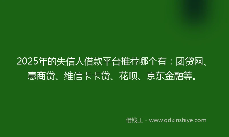 2025年的失信人借款平台推荐哪个有：团贷网、惠商贷、维信卡卡贷、花呗、京东金融等。