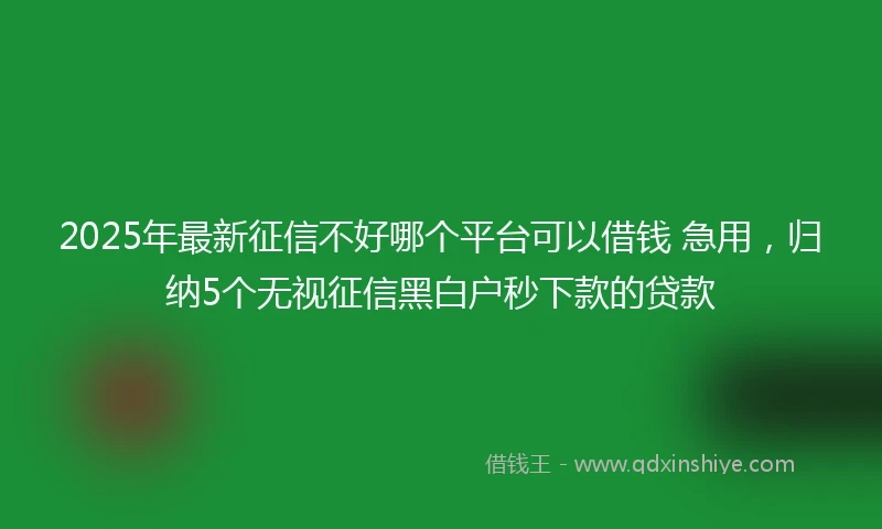 2025年最新征信不好哪个平台可以借钱 急用，归纳5个无视征信黑白户秒下款的贷款