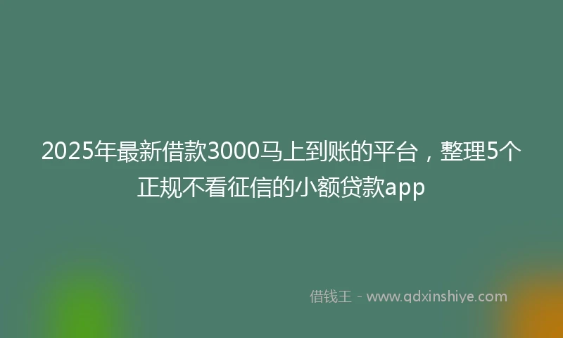 2025年最新借款3000马上到账的平台，整理5个正规不看征信的小额贷款app