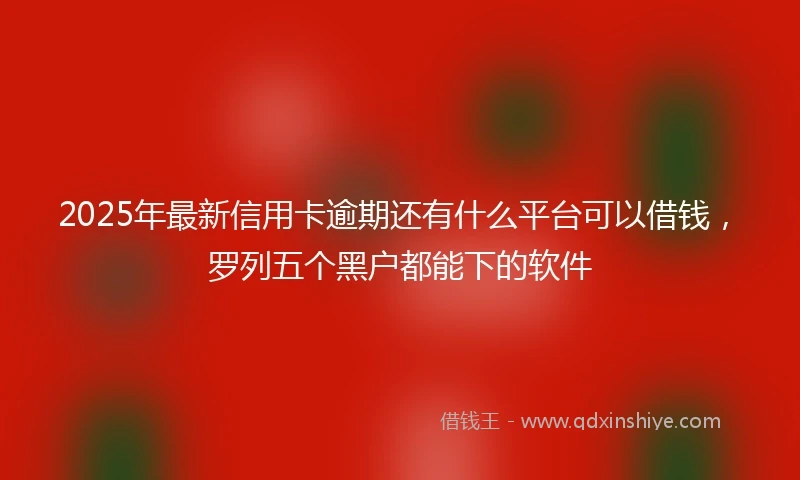 2025年最新信用卡逾期还有什么平台可以借钱，罗列五个黑户都能下的软件